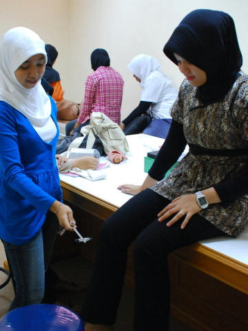 Charting Indonesia's health