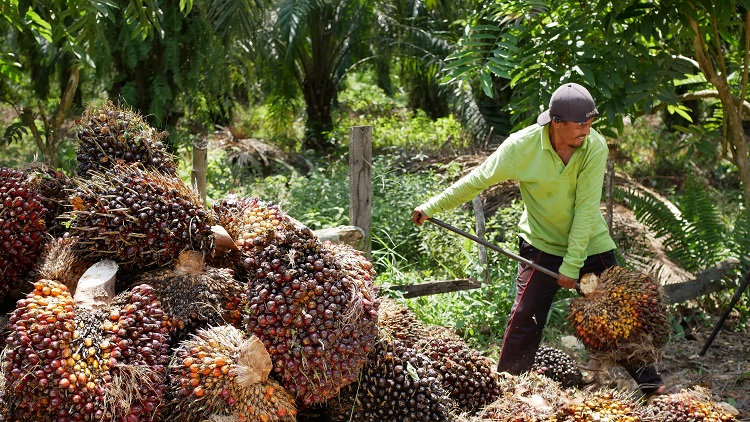 Photo Essay: From the field
